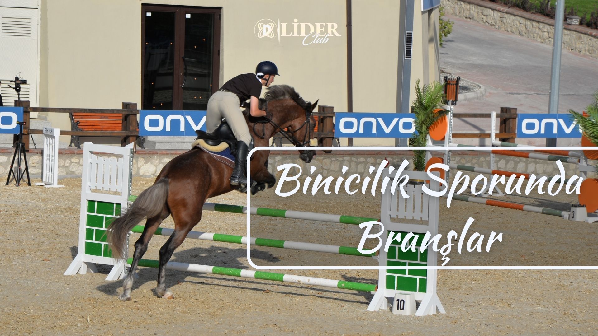 Binicilik Sporunda Branşlar Nelerdir?