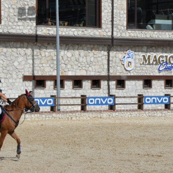 Çatalca at çiftliği kahvaltı ve at binicilik dersi